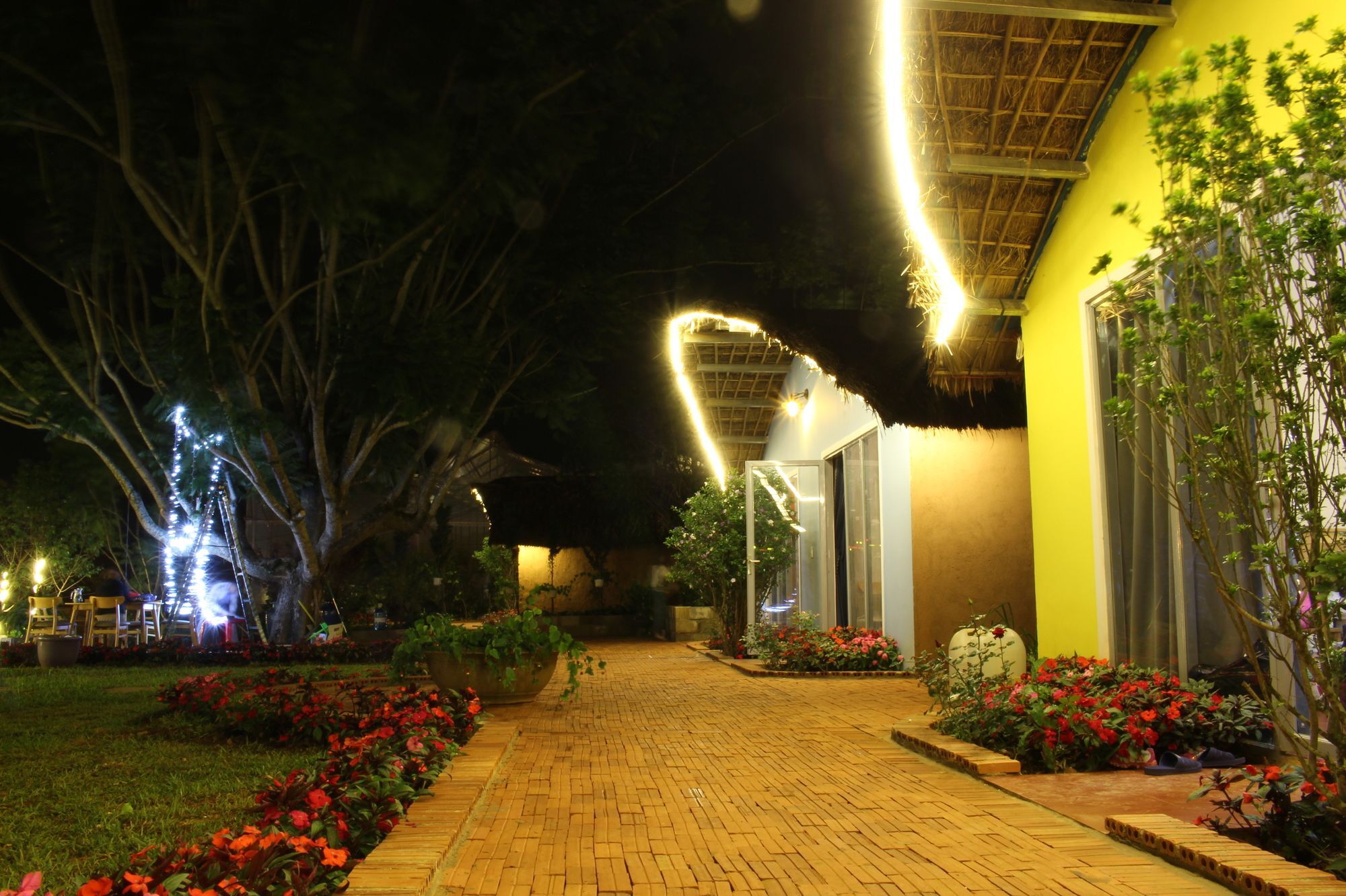 Cocoon Bungalow Dalat Bagian luar foto